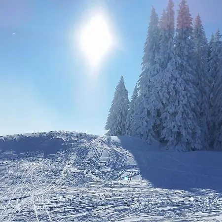 Lichtblick Lejlighed Oberstdorf