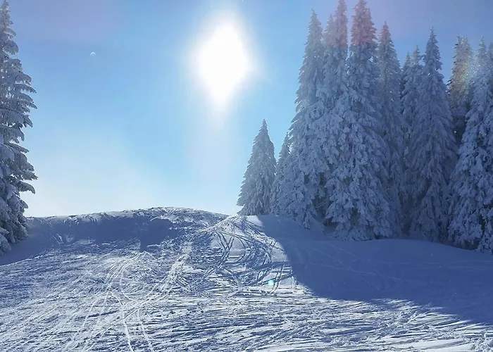 Lichtblick Lejlighed Oberstdorf