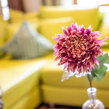 Lichtblick アパート *