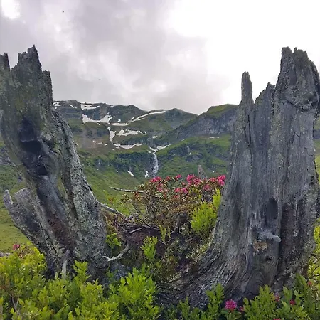 アパート Lichtblick *